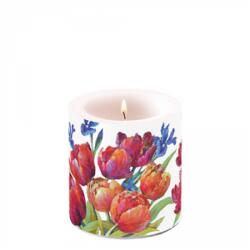 Ambiente Tulips of joy átvilágítós gyertya 8x7, 5cm