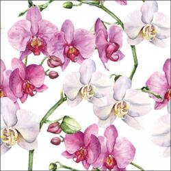 Ambiente Elegant orchids white papírszalvéta 33x33cm, 20db-os