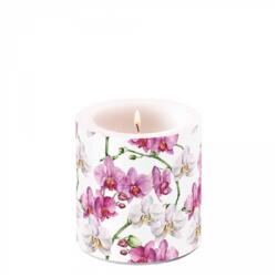 Ambiente Elegant orchids white átvilágítós gyertya 8x7, 5cm