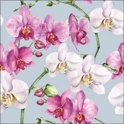 Ambiente Elegant orchids blue papírszalvéta 33x33cm, 20db-os