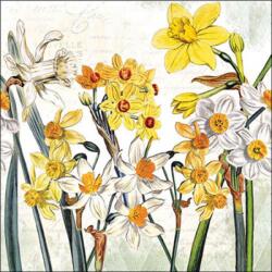 Ambiente Narcissus papírszalvéta 33x33cm, 20db-os