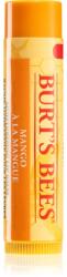 Burt's Bees Lip Care tápláló szájbalzsam (with Mango Butter) 4, 25 g