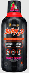 Alpha Lion Burn 20 31 serv - proteinemag