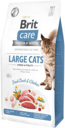  Brit Care Cat LARGE CATS KACSA & CSIRKE 2kg