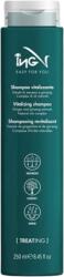 ING Treating Vitalizing Shampoo 250 ml