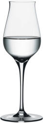 Spiegelau Pahar de lichior AUTHENTIS DIGESTIVE, set de 4 buc, 170 ml, Spiegelau (SP4400170) Pahar