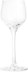 Rosendahl Pahar pentru shot PREMIUM, set de 2 buc, 50 ml, transparent, Rosendahl (RSD29606) Pahar