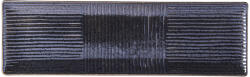 Made in Japan Farfurie pentru sushi și sashimi, 33 x 10 cm, neagră, MIJ (MIJC7852)