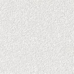 Lambda systeme álmennyezeti lap amf orbit 60x60 cm / 13 mm