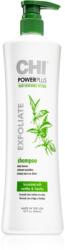 CHI Power Plus Exfoliate mélyen tisztító sampon nyugtató hatással 946 ml