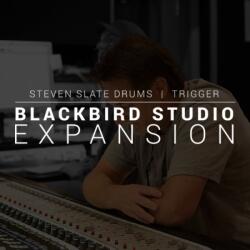 Slate Digital SSD Blackbird expansion (1178-1103)