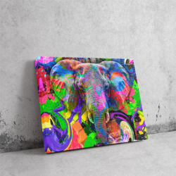  Szivárvány Elefánt - Pop Art Vászonkép (433027)