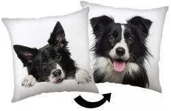  Kutyás Border Collie párna, díszpárna 40x40 cm (JFK039199)