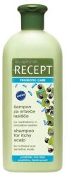 Subrina Sampon cu Probiotice pentru Scalpul Iritat - Subrina Recept Probiotic Care Shampoo for Itchy Scalp, 400 ml