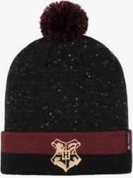 Stance Căciulă de iarna Stance Hogwarts Pom Beanie - black