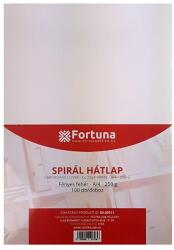 FORTUNA Hátlap FORTUNA A/4 230g fényes fehér 100/dob (FO00102)