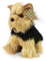 Rappa ECO-FRIENDLY yorkshire terrier plüss kutya 25 cm (RP241145)