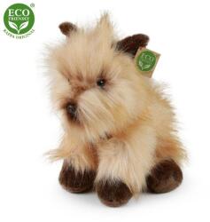 Rappa Plüss cairn terrier kutya 30 cm KÖRNYEZETBARÁT (RP231122)