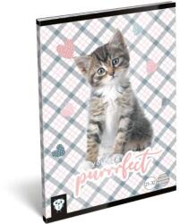Lizzy Card Lizzycard Cicás Füzet - A5 (TSV01-03182)