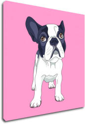 Impresi Tablou Frenchie pink background - 20 x 20 cm