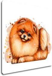 Impresi Obraz Dog Pomeranian - 30 x 30 cm Decoratiune camera copii