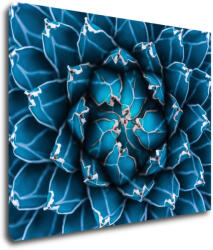 Impresi Tablou Blue blossom - 90 x 70 cm