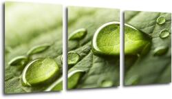 Impresi Tablou Drops of water on the leaf - 150 x 70 cm (3-piese)