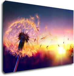Impresi Tablou Dandelion and sunset - 90 x 60 cm