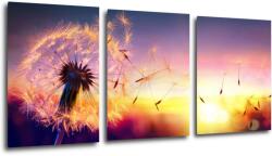 Impresi Tablou Dandelion and sunset - 150 x 70 cm (3-piese)