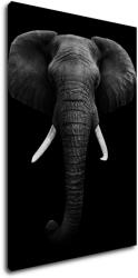 Impresi Tablou Elephant dark - 60 x 90 cm