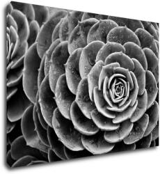 Impresi Tablou Black and white blossom - 70 x 50 cm