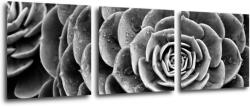 Impresi Tablou Black and white blossom - 90 x 30 cm (3-piese)