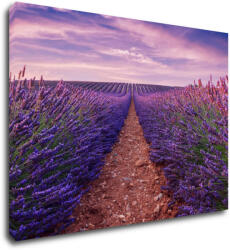 Impresi Tablou Lavender field - 70 x 50 cm