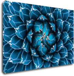 Impresi Tablou Blue blossom - 60 x 40 cm