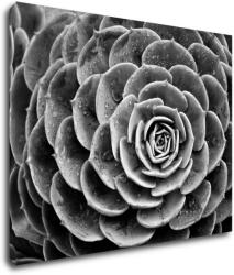 Impresi Tablou Black and white blossom - 90 x 70 cm