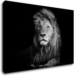 Impresi Tablou Lion black and white - 90 x 60 cm