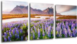 Impresi Tablou Lila blossoming flowers - 150 x 70 cm (3-piese)