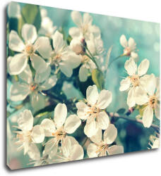 Impresi Tablou Blue background cherry blossom - 90 x 60 cm