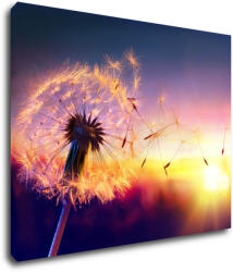 Impresi Tablou Dandelion and sunset - 90 x 70 cm