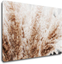 Impresi Tablou Dry flowers detail - 60 x 40 cm