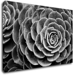 Impresi Tablou Black and white blossom - 90 x 60 cm