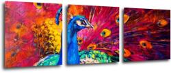 Impresi Tablou Colorful Peacock - 90 x 30 cm (3-piese)