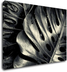 Impresi Tablou Black and white leafs - 70 x 50 cm