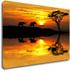 Impresi Tablou Safari sunset - 90 x 60 cm