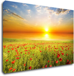 Impresi Tablou Poppies field - 90 x 60 cm