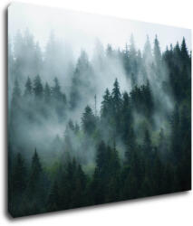 Impresi Tablou Fogy forest - 90 x 70 cm