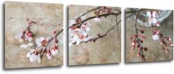 Impresi Tablou Pink blossom - 90 x 30 cm (3-piese)