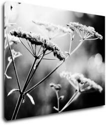 Impresi Tablou Black and white meadow flower - 90 x 70 cm