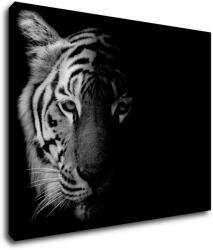 Impresi Tablou Tiger black and white - 90 x 70 cm