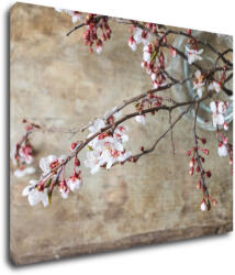 Impresi Tablou Pink blossom - 90 x 70 cm